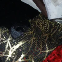تکه پارچه