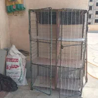 جفت کنی کبوتر.خانه کفتر