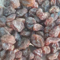 فروش‌انواع‌کشمش