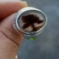 انگشتر شجر