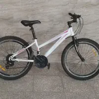 دوچرخه Hunter (هانتر) کوهستانی سایز 26