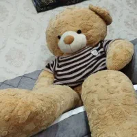 خرس شاخسین