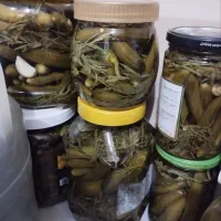 خیار شور محلی