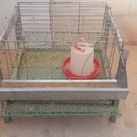 قفس بلدرچین