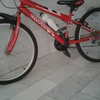 دوچرخه دنده ای سایز24