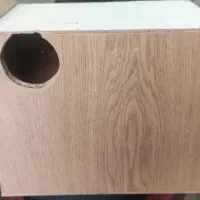 لونه پرنده عروس هلندی