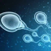 مشاوره باروری و بچه دار شدن