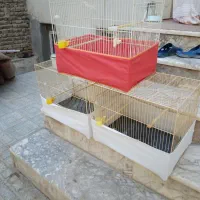 قفس پرنده
