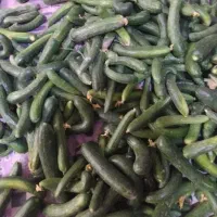خیار۵۰تومان