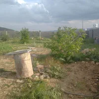 باغ-سیاخ-دارنگون-پردیس