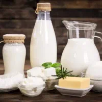 شیر و ماست  گوسفندی