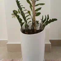 گلدان سرامیکی با گل