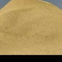 سلام دوستان کا فروشی
