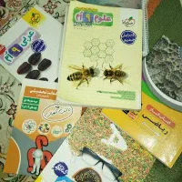 پک (ویژه)۶ عددی (کلاس نهم)