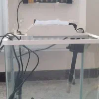 اکواریوم