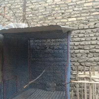 قفس مرغ کبوتر نرده نیزه حفاظ