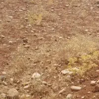 زمین-فروشی-شهرک-رزمندگان