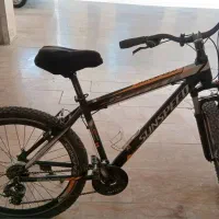 دوچرخه دنده ای حرفه ای