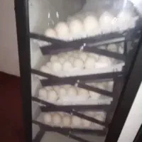 دستگاه جوجه کشی از من تخم مرغ از شما