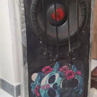 ساب ووفر پاور ساند و باند پایونر 6966