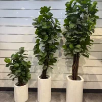 واردات وپخش انواع درختچه های مصنوعی