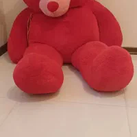 خرس بزرگ