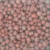 عناب قیمت مناسب