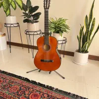 گیتار کلاسیک دیاموند