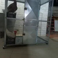 قفس
