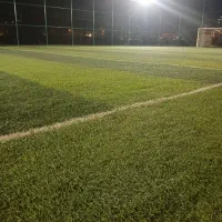 چمن مصنوعی