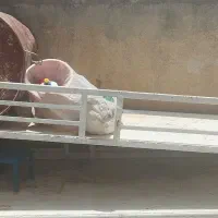 یک جفت تخت آهنی