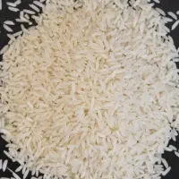 فروش برنچ