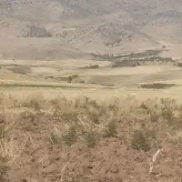 کار کشاورزی