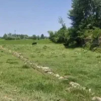 ۵ پلاک زمین داخل بافت ، ۲۱۱متر ، زیر ۱ ت(خشکبیجار)