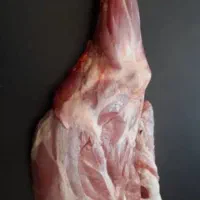 ران و دست گوسفندی تازه بدون چربی درجه یک