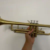 ترومپت Rijent