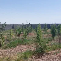 فروش خانه و باغ