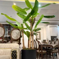 درخت و گل و گیاه مصنوعی درخت موز فیکوس ابلق