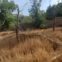 زمین باغی فروش یا معاوضه