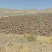 فروش-زمین-لب-جاده-مامالو600متر