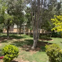 کارشناس فضای سبز