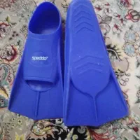 فین شنا