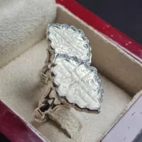 ست انگشتر عقیق نباتی (یمنی)