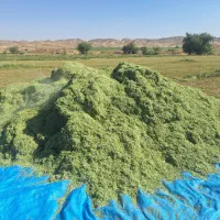 فروش دو تن خرمنکوب یونجه