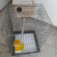 قفس بزرگ