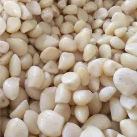 سیر مروارید پوست کنده حبه شده