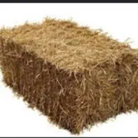پرس کندم درجه یک