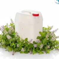 عرق نعنا و عرق بادرنجبویه