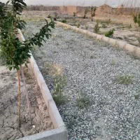 فروش باغچه در ارغش آباد صفادشت