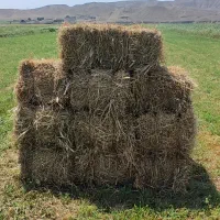 یونجه|عمدهفروشی|اصلاندوز, |دیوار